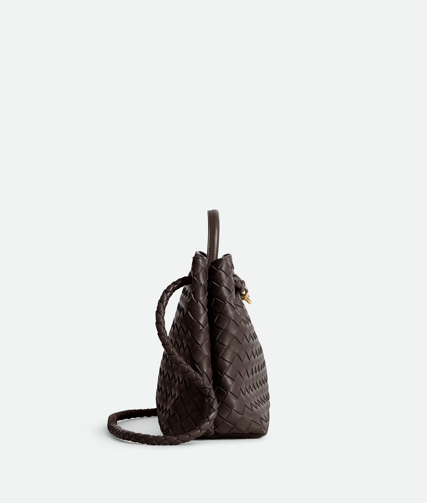 Bottega Veneta Andiamo Medium Bag