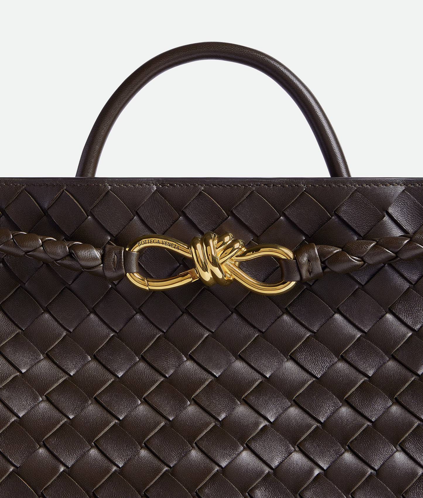 Bottega Veneta Andiamo Medium Bag