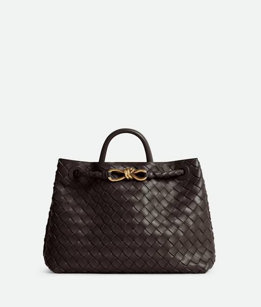Bottega Veneta Andiamo Medium Bag