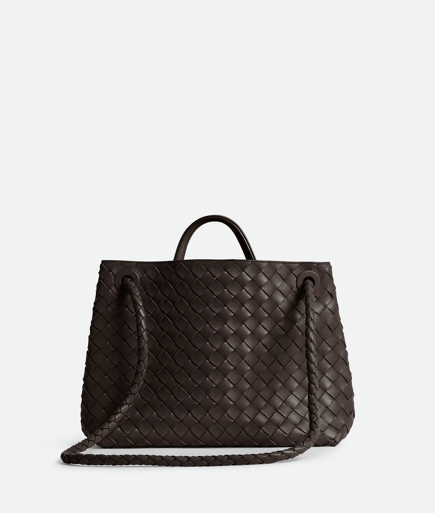 Bottega Veneta Andiamo Medium Bag